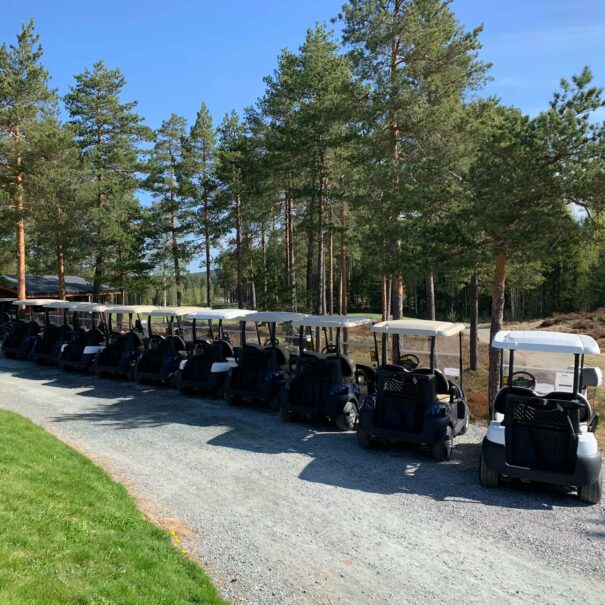 golfbiler på rekke og rad